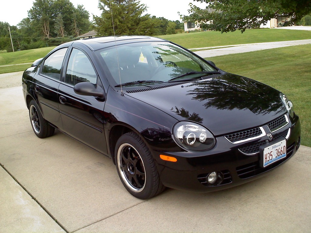 dodge neon colors